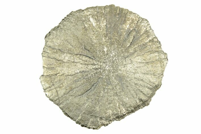 Radiant Pyrite Sun - Sparta, Illinois #342582